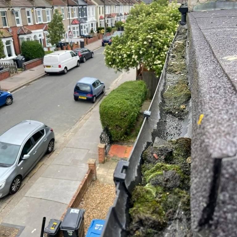 Gutter blocked with moss and debris Gutter blocked with moss and debris